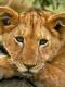 Аватар для Игорян
