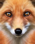Аватар для foxigtn