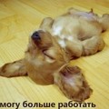 Аватар для Мицубик