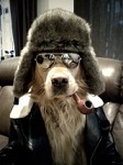 Аватар для Wolfy