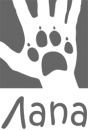 Аватар для LapA