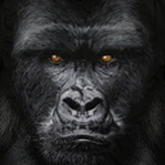 Аватар для Covax554