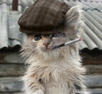 Аватар для Stalker759